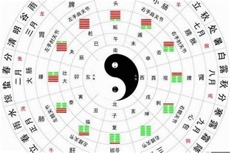 五極天元一氣揚|八字格局解析——富貴命運之“天元一氣格”